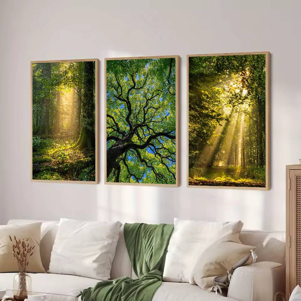 Sunbeam Wald-Natur-Poster, Grü – Wall Decor Lighting Tree Bewertung und Preis